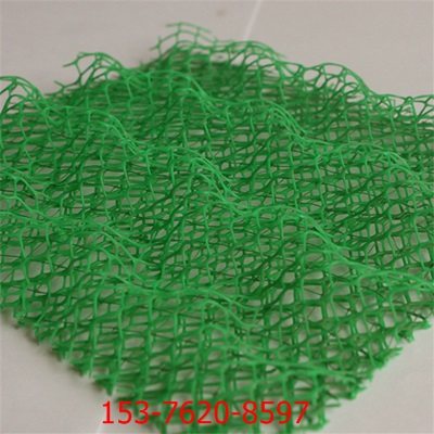 常熟三维土工网垫 绿色工程与生态修复的坚实伙伴