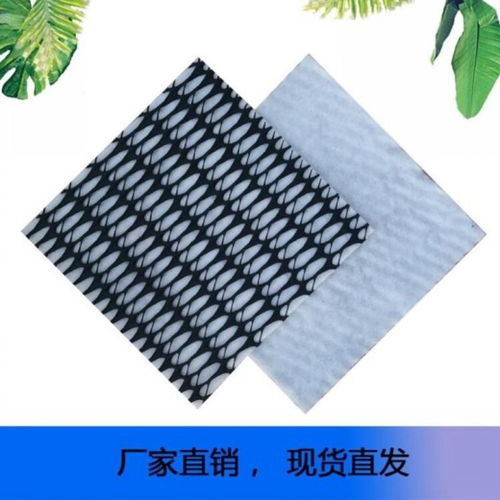 植草护坡塑料厂家供应三维复合土工排水网垫植草网复合排水网解析与应用
