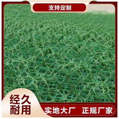 德州、青岛、日照及山东三维土工网垫的应用与优势